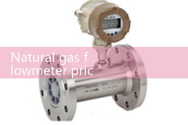 Price of natural gas flowmeter